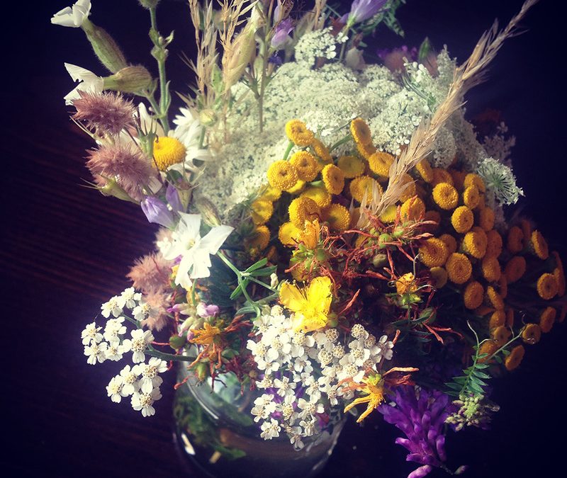 A serious topic: The importance of having fun