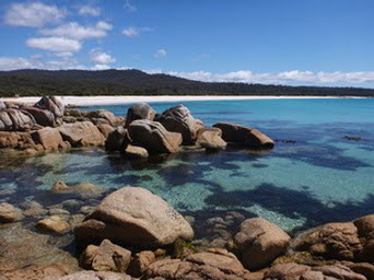 Gratitude and grief… a personal journey