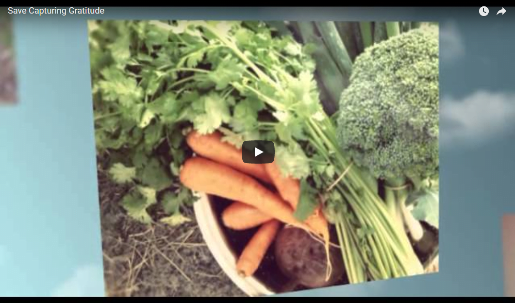 Saving Capturing Gratitude